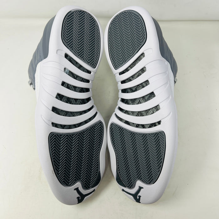 Jordan 12 Retro Stealth
