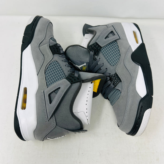 Jordan 4 Retro Cool Grey (2019)