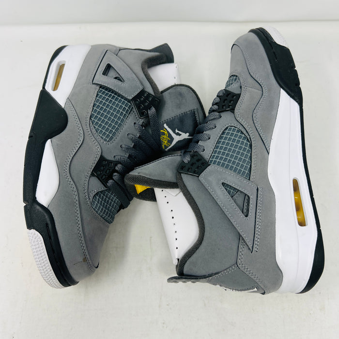 Jordan 4 Retro Cool Grey (2019)