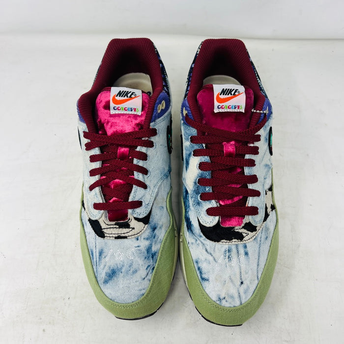 Nike Air Max 1 SP Concepts Mellow