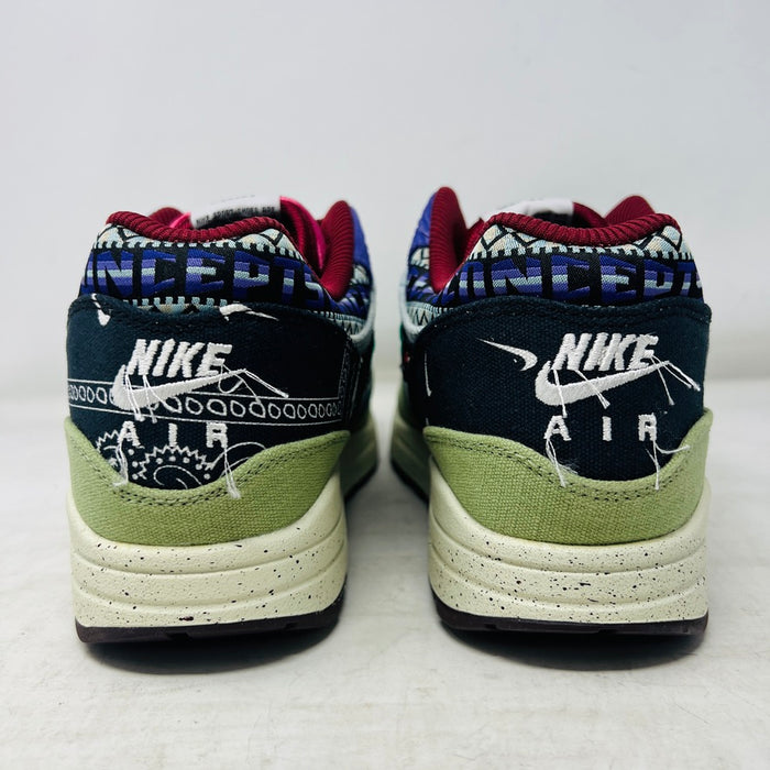 Nike Air Max 1 SP Concepts Mellow