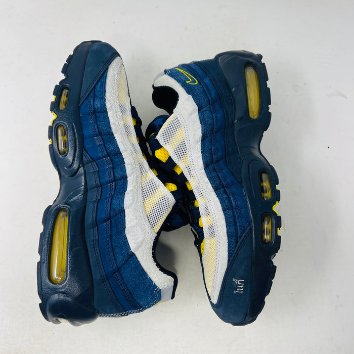 Nike Air Max 95 SB Eric Koston Obsidian Speed Yellow