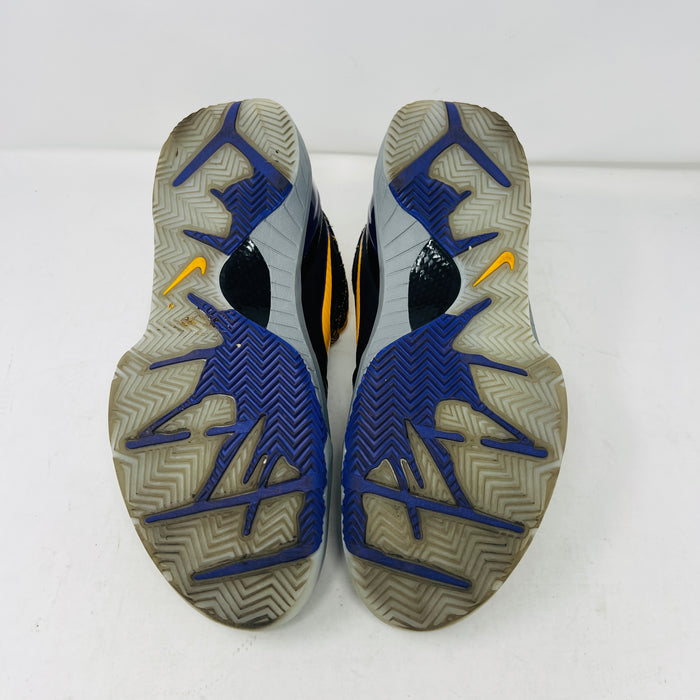Nike Kobe 4 Protro Carpe Diem