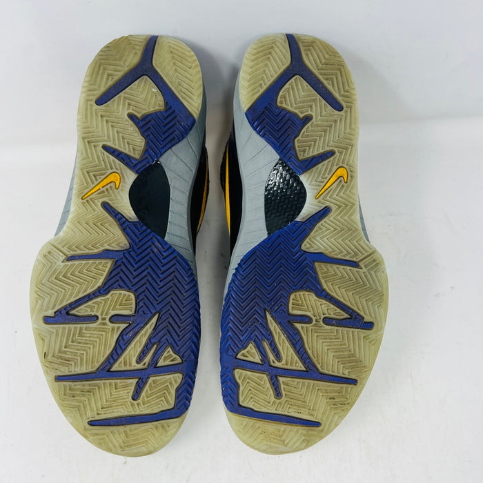 Nike Kobe 4 Protro Carpe Diem