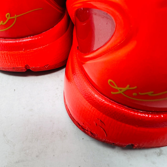 Nike Kobe 6 Protro Reverse Grinch
