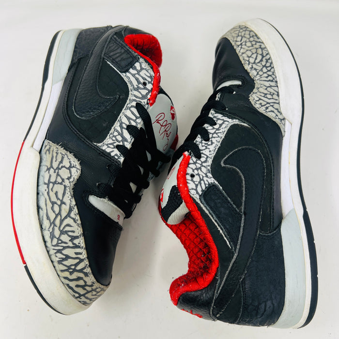 Nike Paul Rodriguez 2 Zoom Air Grey Haze/Black