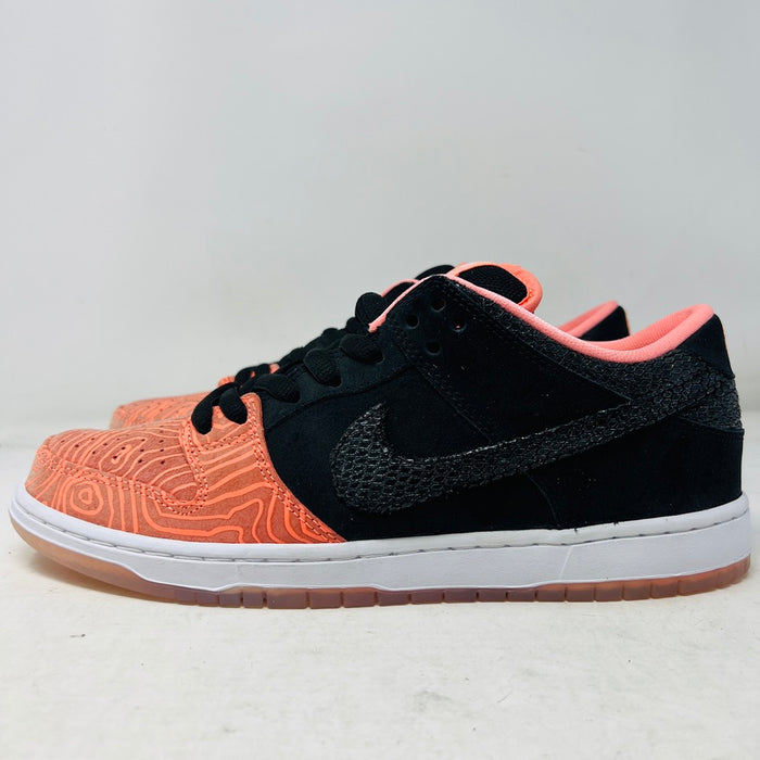 Nike SB Dunk Low Premier Fish Ladder