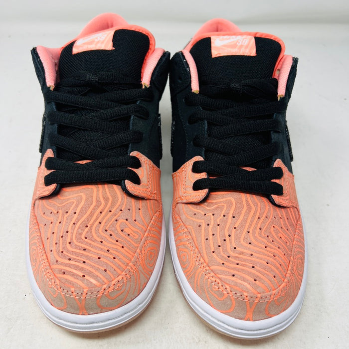 Nike SB Dunk Low Premier Fish Ladder