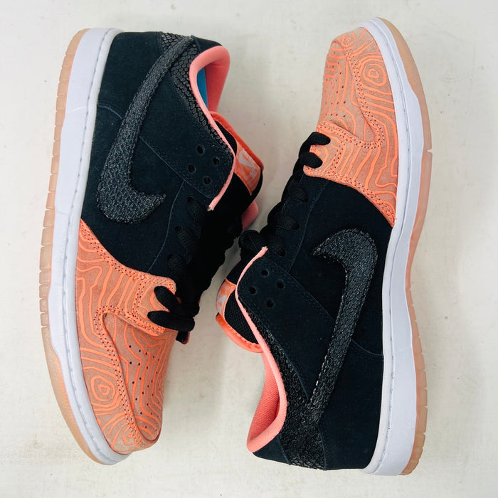 Nike SB Dunk Low Premier Fish Ladder