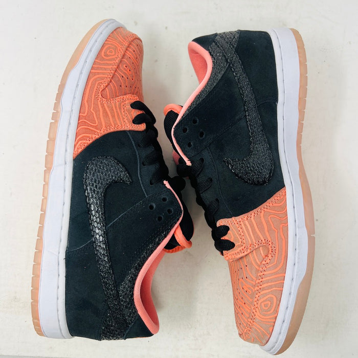 Nike SB Dunk Low Premier Fish Ladder