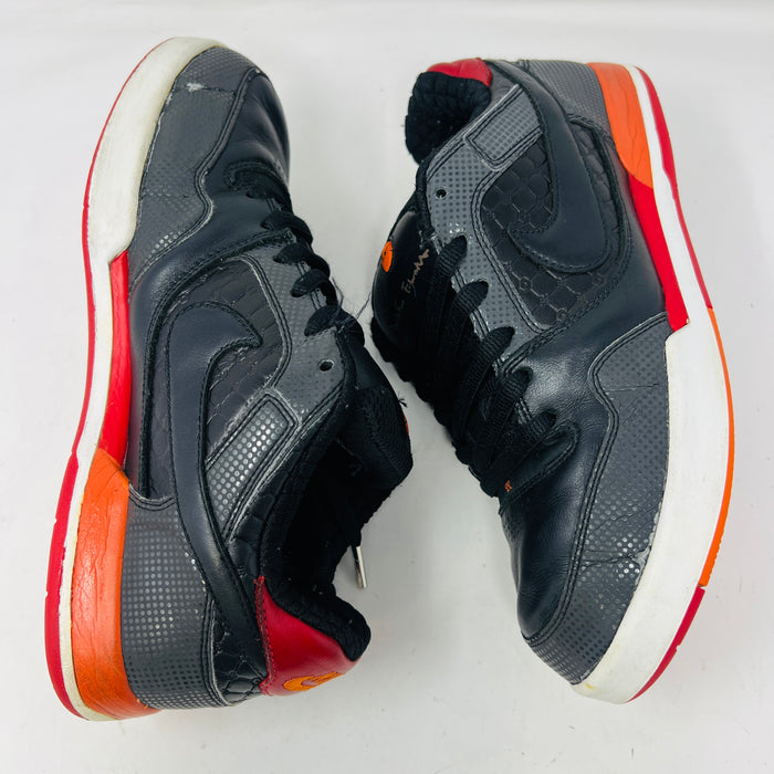 Nike SB Paul Rodriguez 2 Fuji Rod